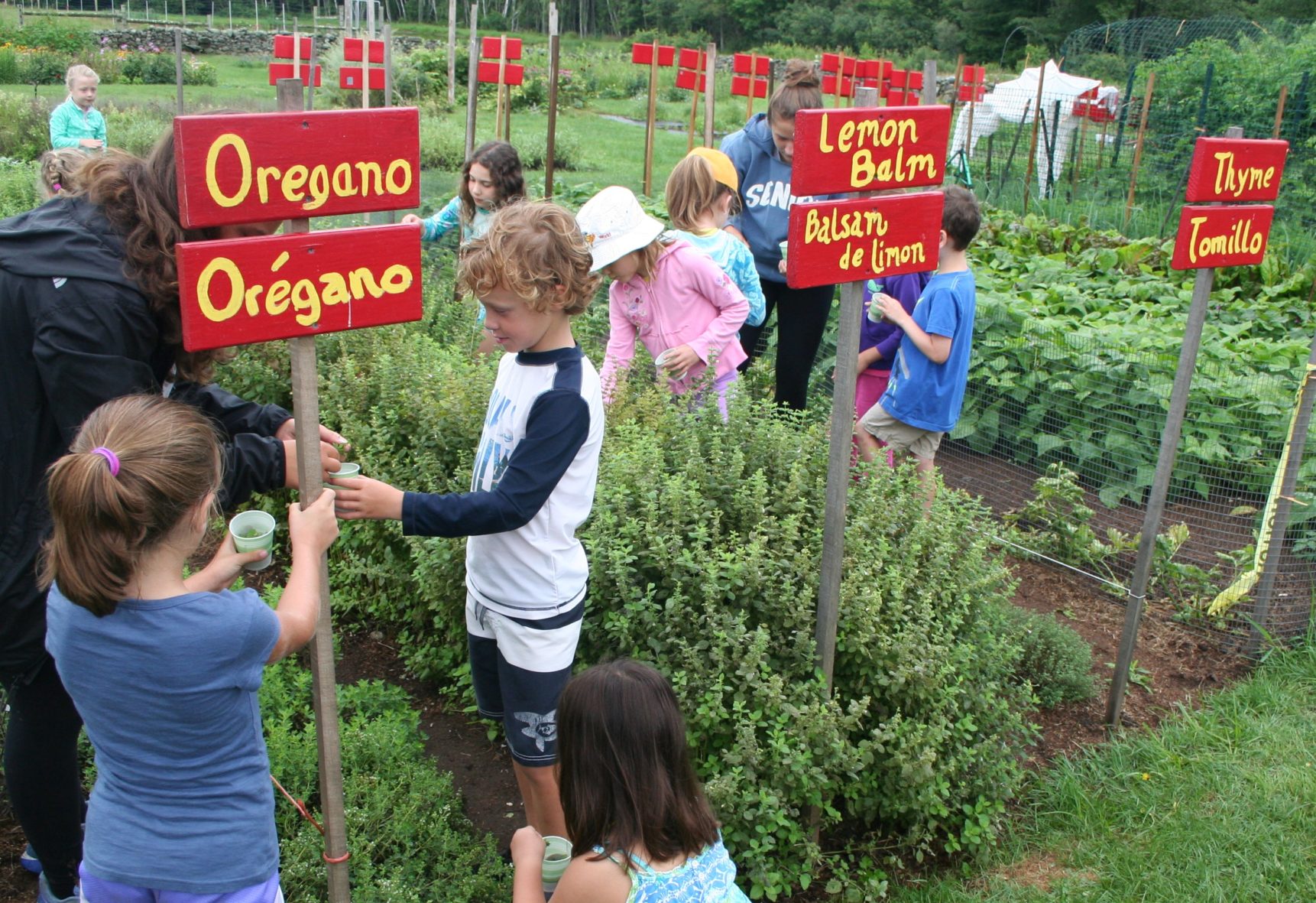 Casey Farm
