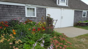 Shingled barn with white trim with a colorful garden bed beside the sliding doors