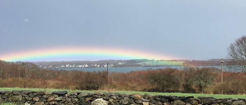 A rainbow stretches across the bay to Watson Farm on the island of Jamestown with lines of trees, pasture, and stone walls of Casey Farm in the foreground.