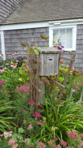 Weathered wooden buildings and birdhouse surrounded by a bed full of pink, purple, and yellow flowers