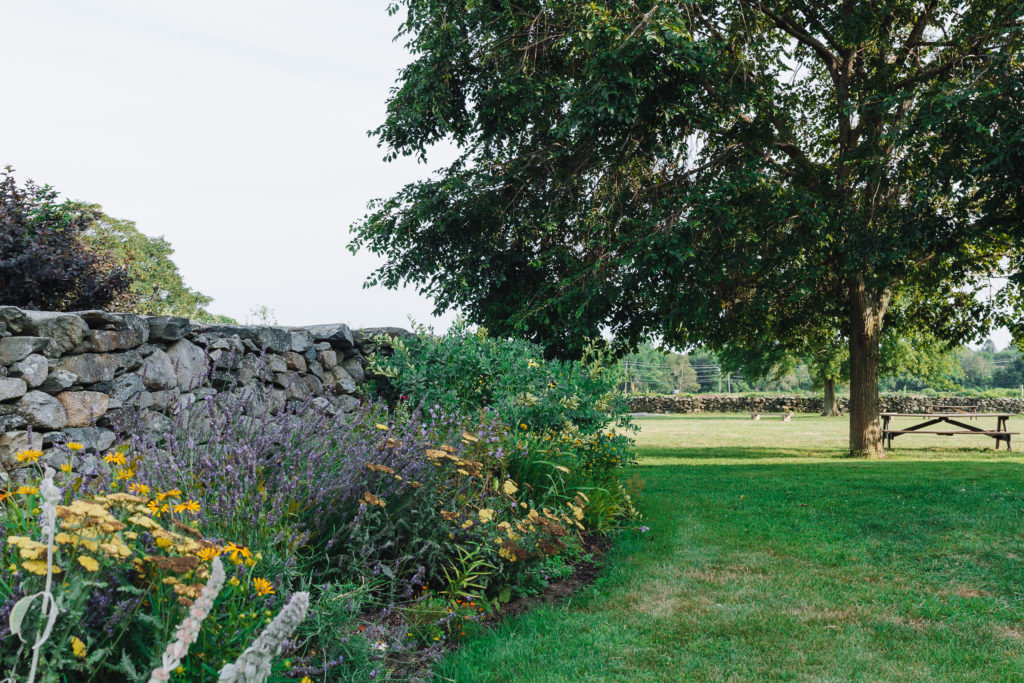 Tall stone wall with wide flower border alongside lead into view of large lawn, a shade tree, and picnic table underneath.