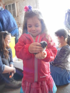 Smiling young girl holds a small black and white chick in her hands with a few people sitting on the barn floor behind her.