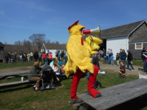 Man in a yellow chicken suit stands on a picnic table while holding up a megaphone. People mill in the barnyard nearby..