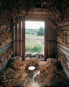 Interior of wooden slat building hung with dried flowers and herbs looking out onto green landscape