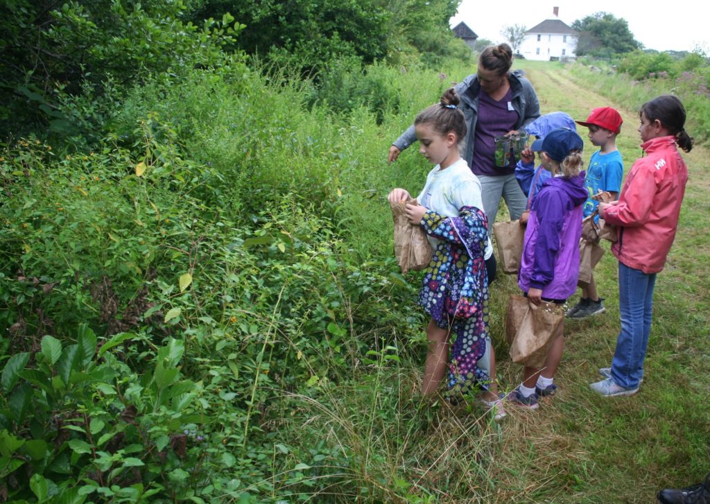 At the side of a wide green path, five children look at what the adult is pointing out among lush wild plant growth.