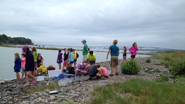 Summer camp children with a counselor explore marine life on the pebbly shore of Casey Point