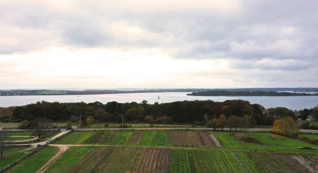 Aerial view of fields with rows of green plants and brown earth with silvery sky and water beyond