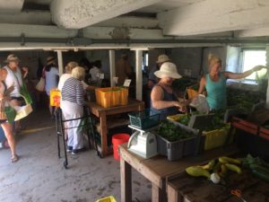 Several people in summer clothing inside a whitewashed barn room collecting produce from bins on tables