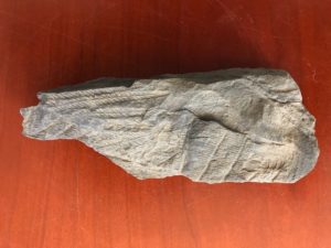 Oblong light-colored stone with rows of leafy indentations resting on a wooden table