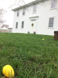 A few yellow plastic eggs are in the green grass in front of a white farm house with a wreath and tulips at the front door.