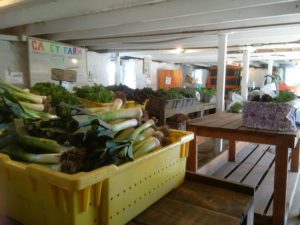 Interior whitewashed room with pillars, full of tables offering bins of green produce. A whiteboard on the wall reads "Casey Farm."